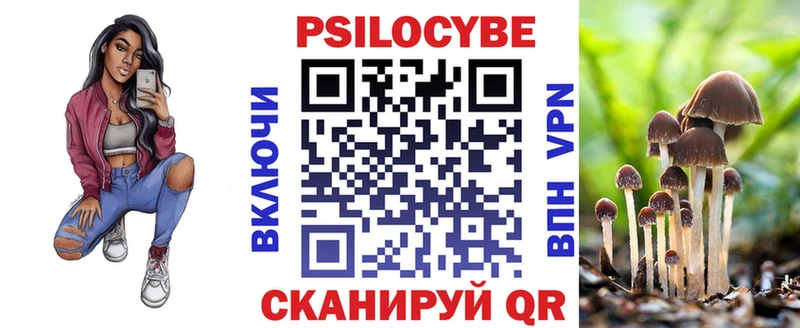 Псилоцибиновые грибы Psilocybine cubensis Каргат