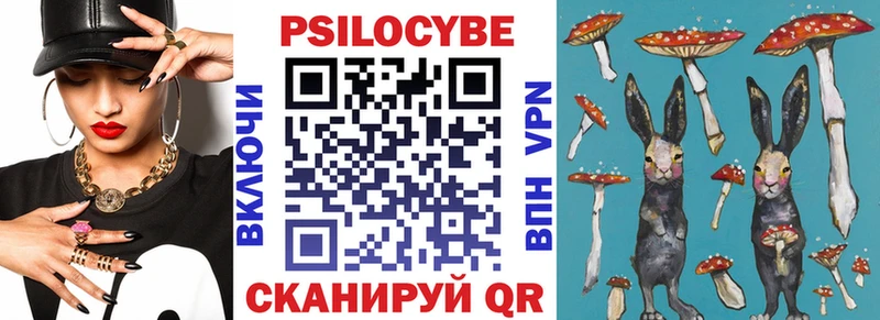 Галлюциногенные грибы GOLDEN TEACHER  Купить  Каргат 